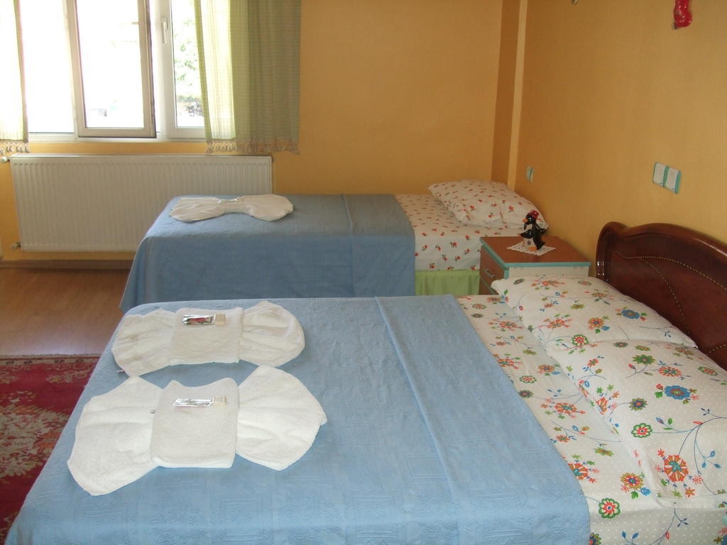 סלצ'וק Efes Antik Hotel חדר תמונה
